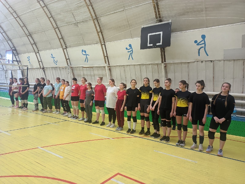 Турнир по волейболу среди девушек.
